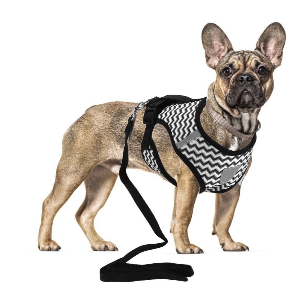 Mesh Fabric Pet Harness Set I- - огляд і ціна Fabric Weight Set